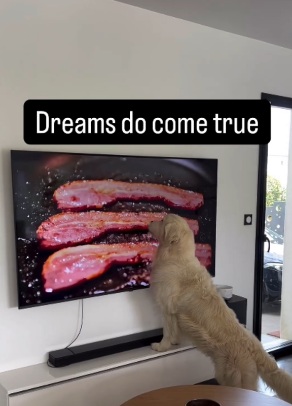 GoldenChinaBrands tweet media