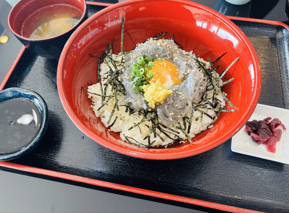 water88ml's tweet photo. しらすの八幡で生しらす丼食べて沼津港で牛モツ煮と抹茶ソフト食べた！美味しかった！ https://t.co/4cNh6u4fmC