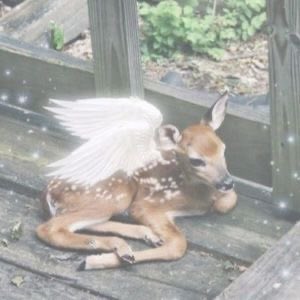 ✧ 𝓒lars ⋆｡°✩ tweet media