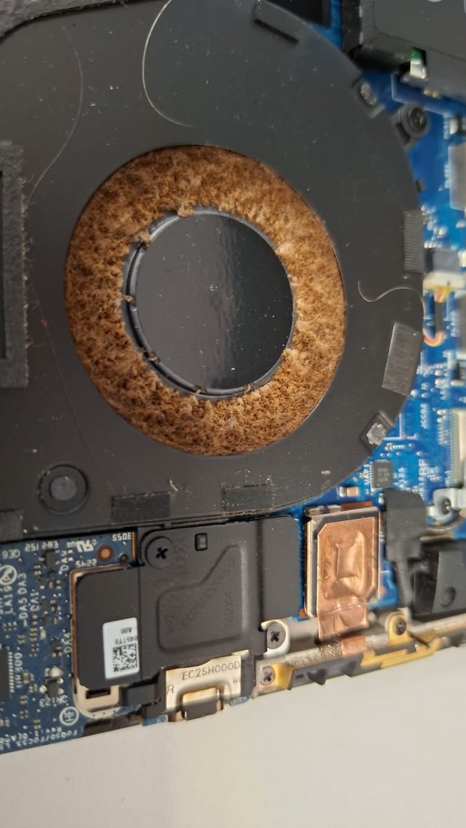 Thomas Stahl tweet media