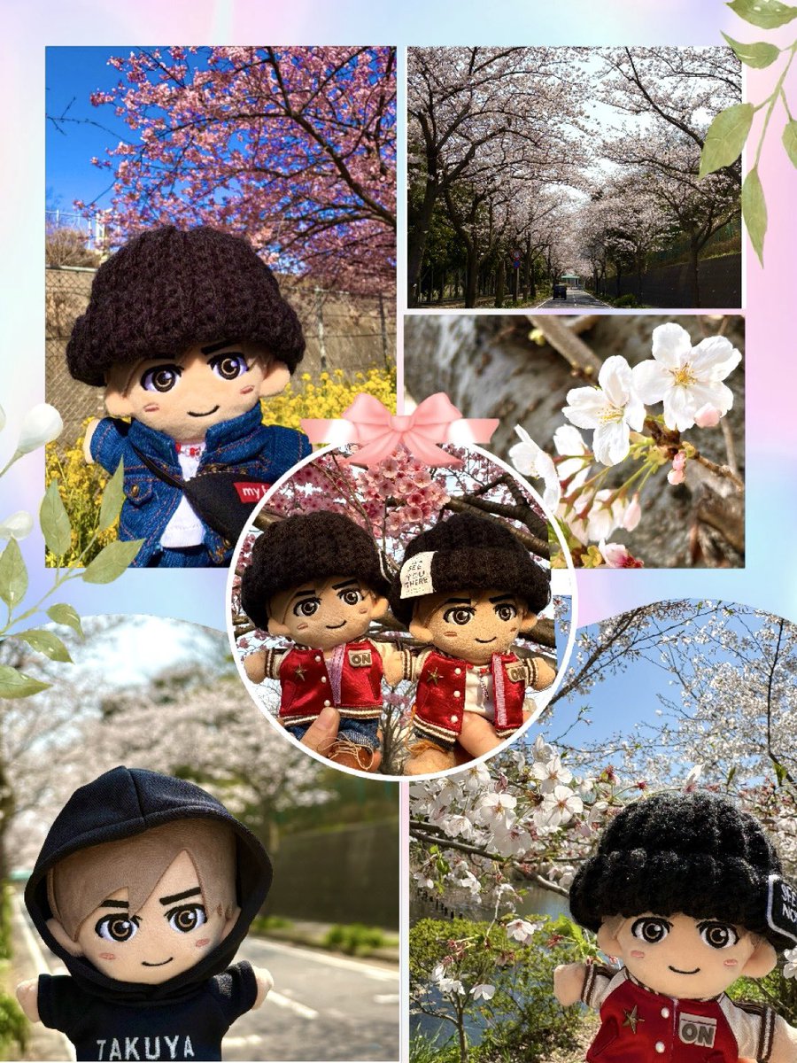 suma_maruko's tweet photo. 今年の🌸
また来年も一緒に見れますように👀✨💕

#桜 🌸 https://t.co/5wBQh16Z85