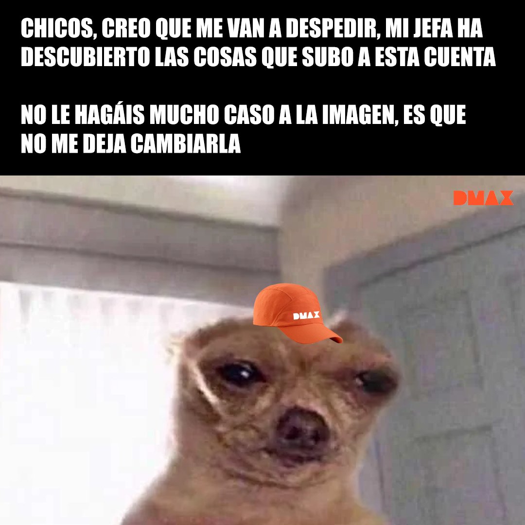 DMAX España tweet media