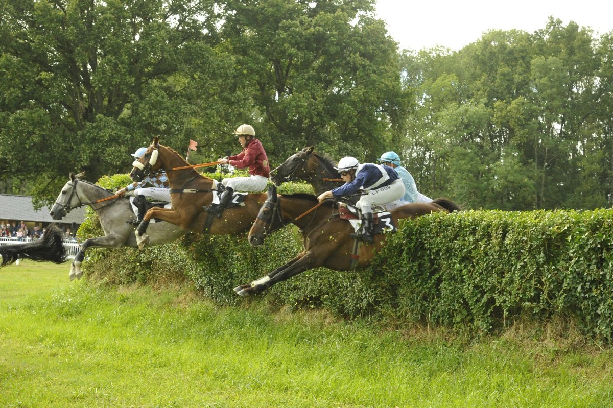 Patrick Weaver tweet media