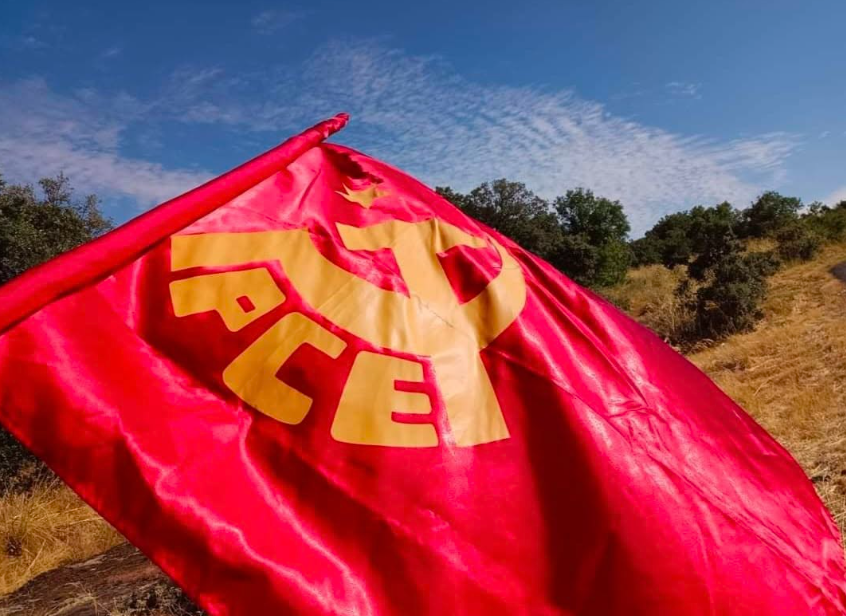 cserrano_hermo's tweet photo. El 9 de abril de 1977, era legalizado el PCE después de casi 40 años de lucha clandestina contra la dictadura de Franco. 

El Partido sigue luchando por los derechos de la clase trabajadora en cada conflicto social.

Por el Socialismo, la Libertad y la Revolución

#HayPartido https://t.co/ba45jrAfad