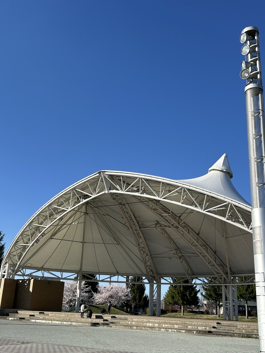 ちゅま助 (ちゃまちゃま68⭐) tweet media