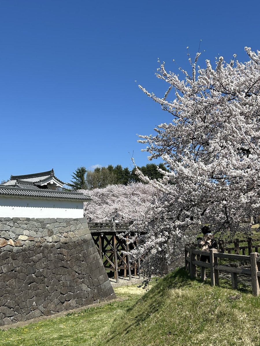 ちゅま助 (ちゃまちゃま68⭐) tweet media