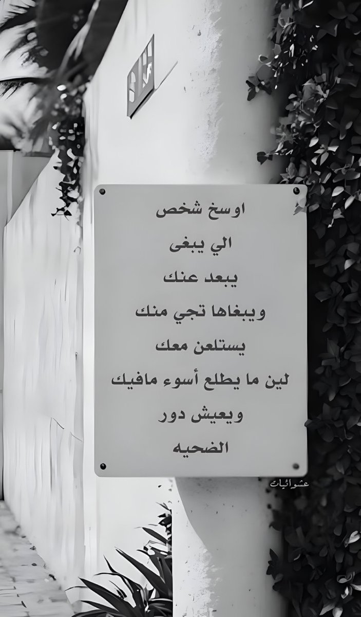 عشوائيات tweet media
