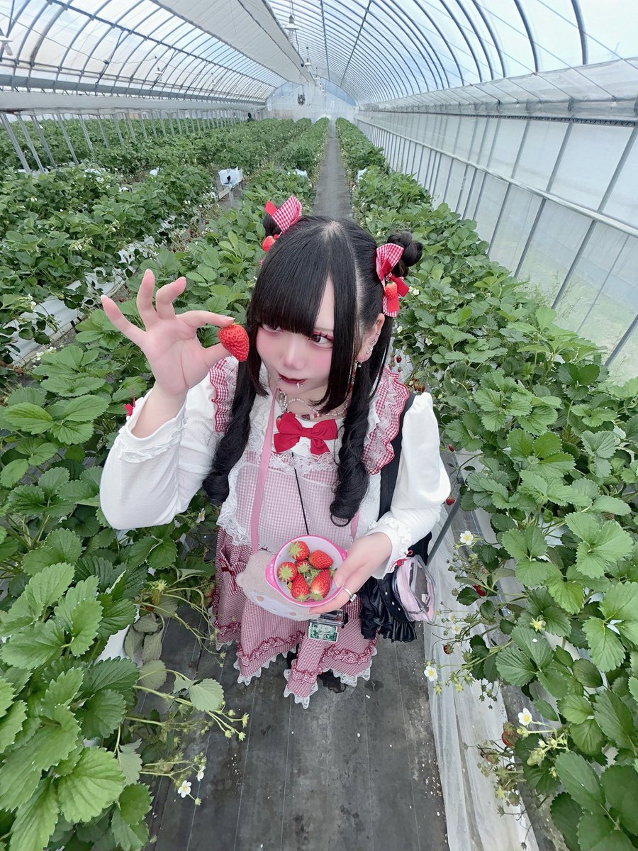 れのちゃん tweet media