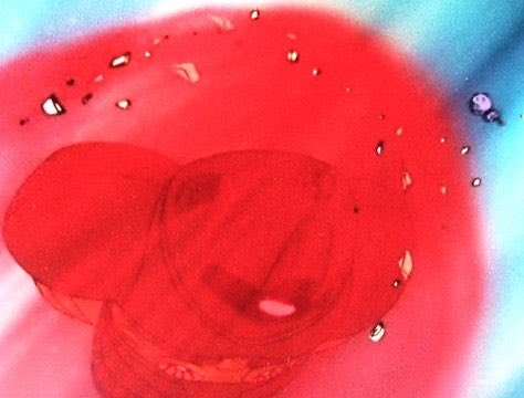 ジョン・ナ・ラン（香川住みます一般人） tweet media