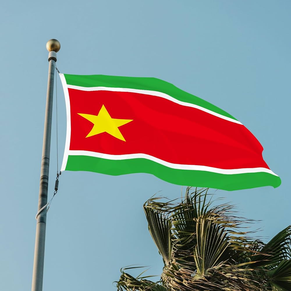 Le Sourd Breton tweet media