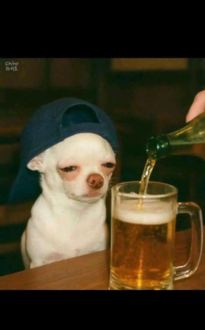 𝕮.𝖒𝖆𝖓𝖆𝖓𝖆 tweet media