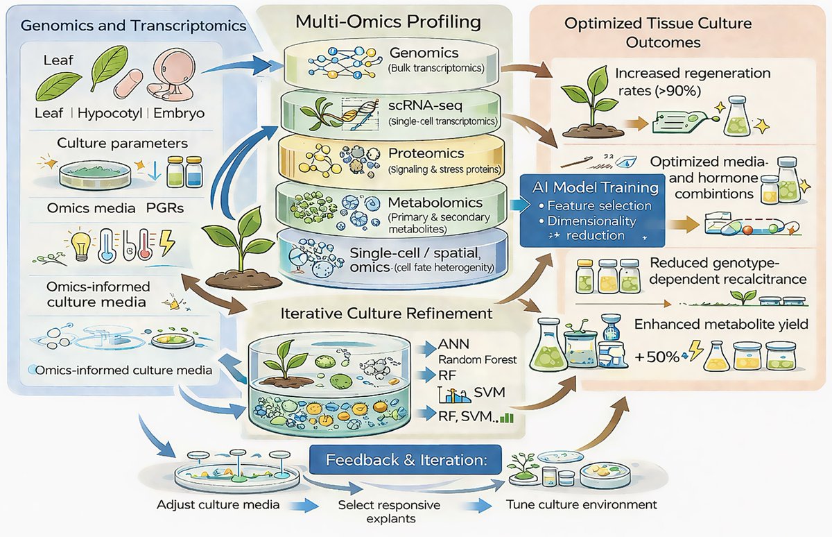 PCTOCjournal's tweet photo. Integrating omics and artificial intelligence with plant tissue culture: pathways to next-generation crop improvement

https://t.co/kbRw0G2bMW https://t.co/gZBfmQvvMW