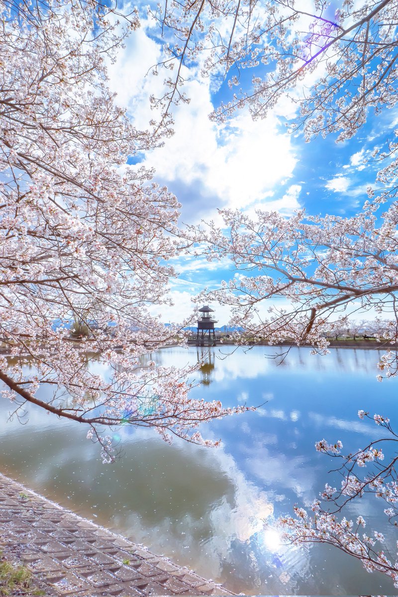 空に青。 tweet media