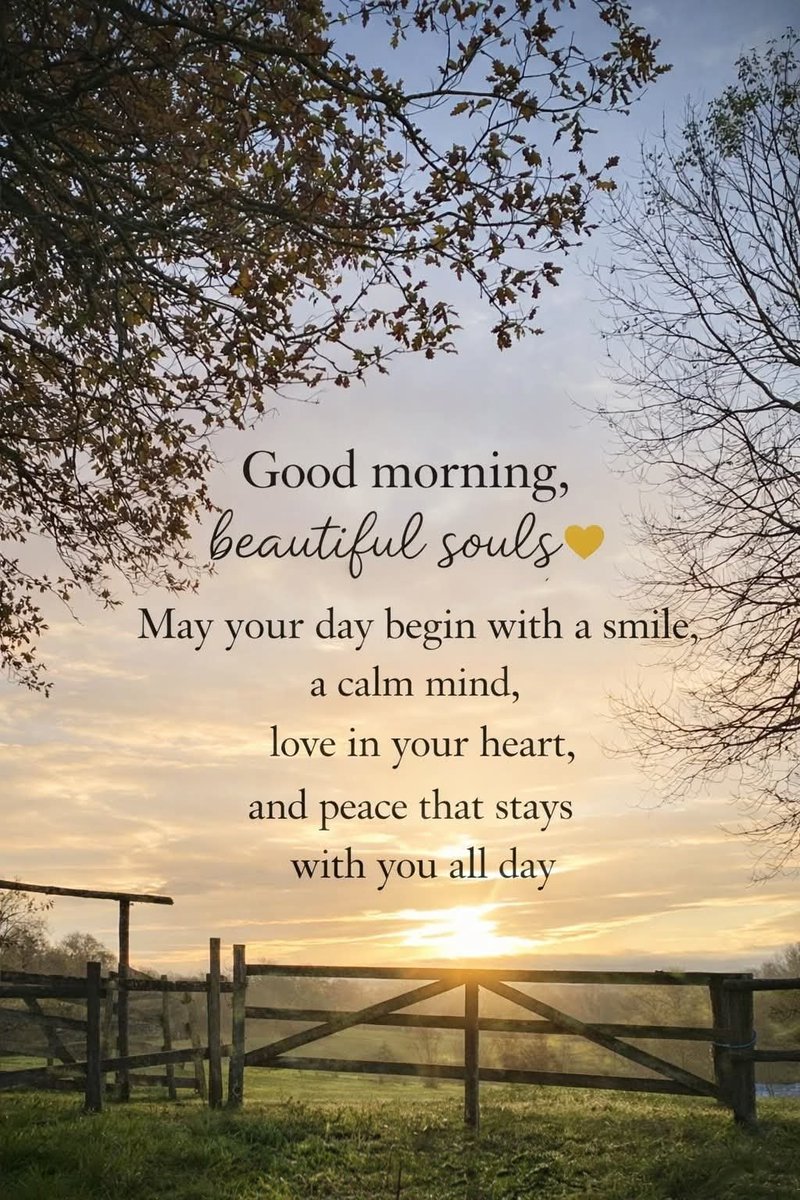 GratefulStella's tweet photo. 💛🌤️🌳💛 #GoodMorning #beautiful #souls #smile #calm #mind #smile #love #heart #peace #April9 #April2026 💛🌤️🌳💛 https://t.co/5IhJVDGsip