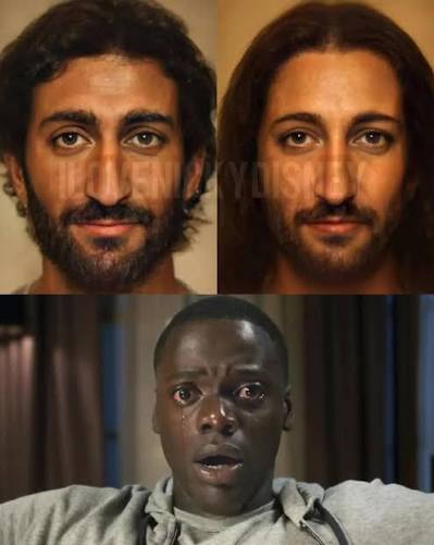 ollo quemira tweet media