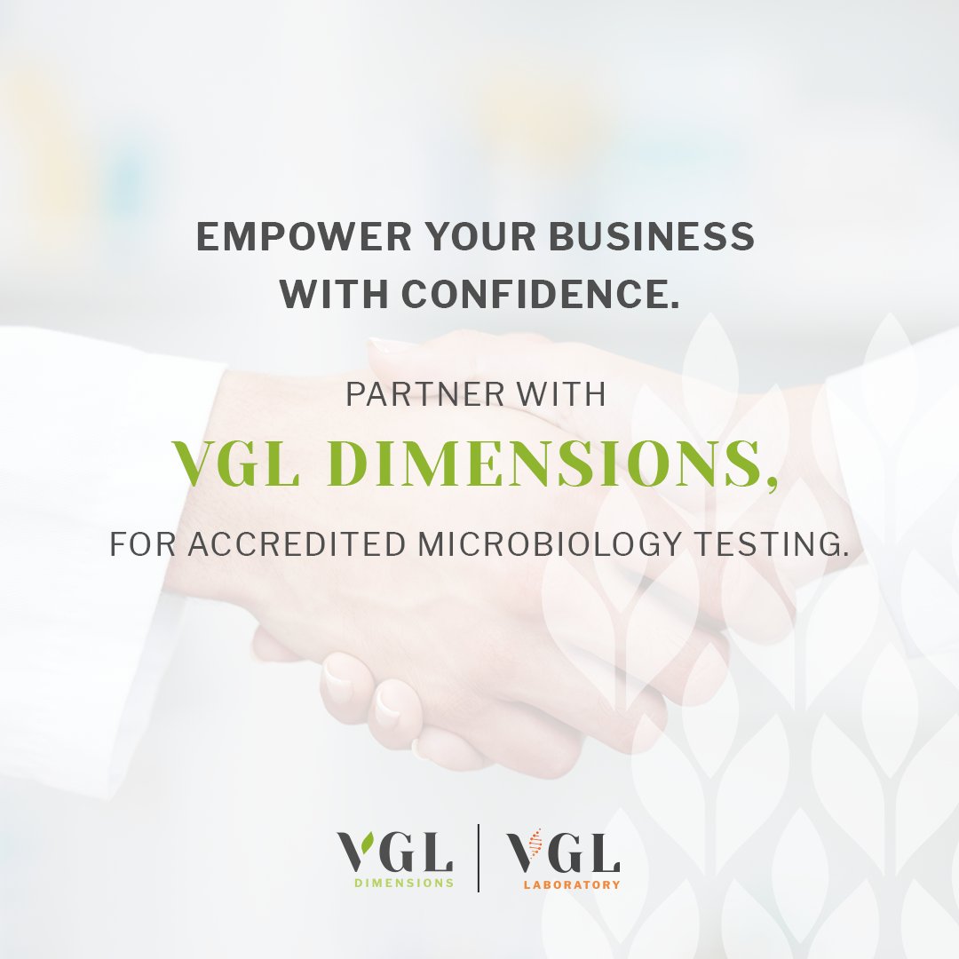 🔬 VGL Dimensions - EMPOWER YOUR BUSINESS WITH CONFIDENCE

📩 Ready to test with confidence?
Contact our team today:
anna@vgldimensions.co.za | billal@vgldimensions.co.za | edwin@vgldimensions.co.za 

Visit vgldimensions.co.za for all our service offerings.