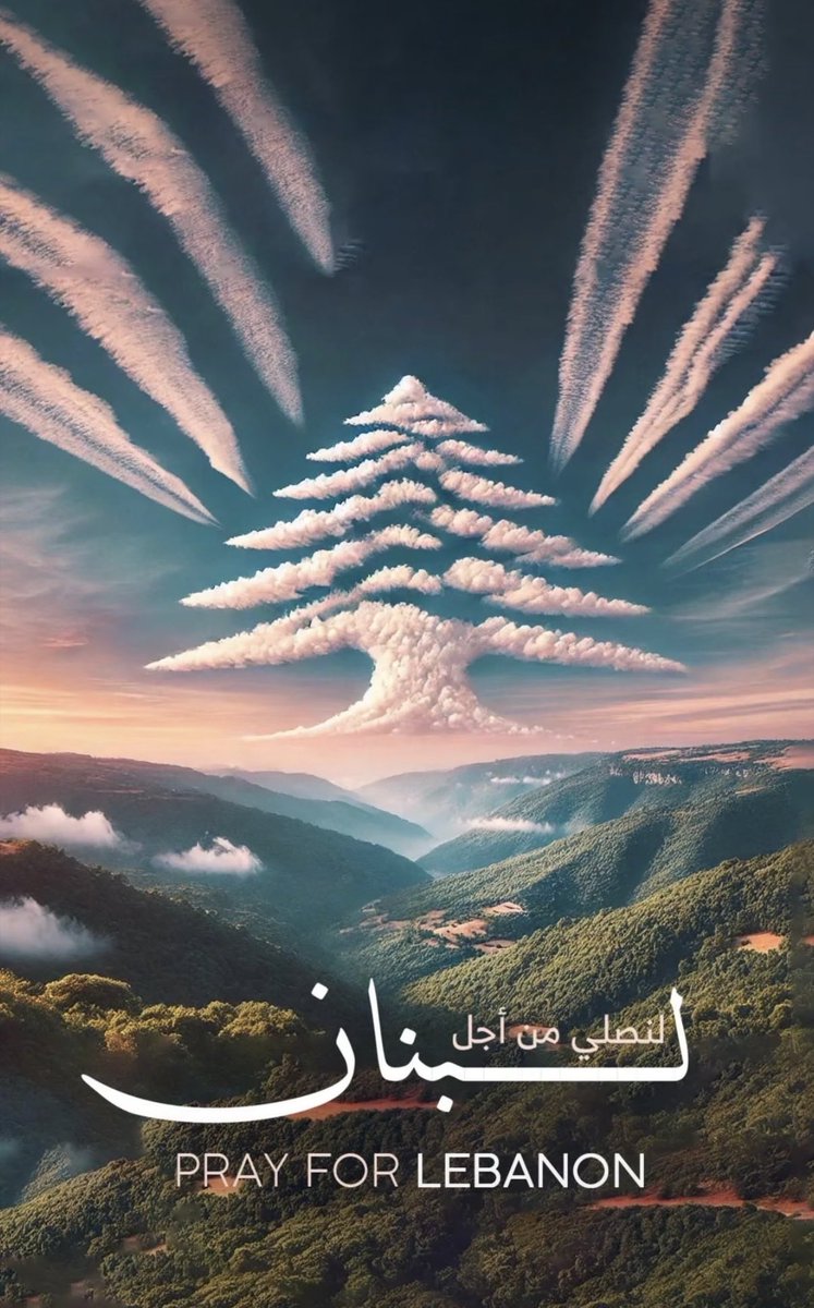المايسترو tweet media
