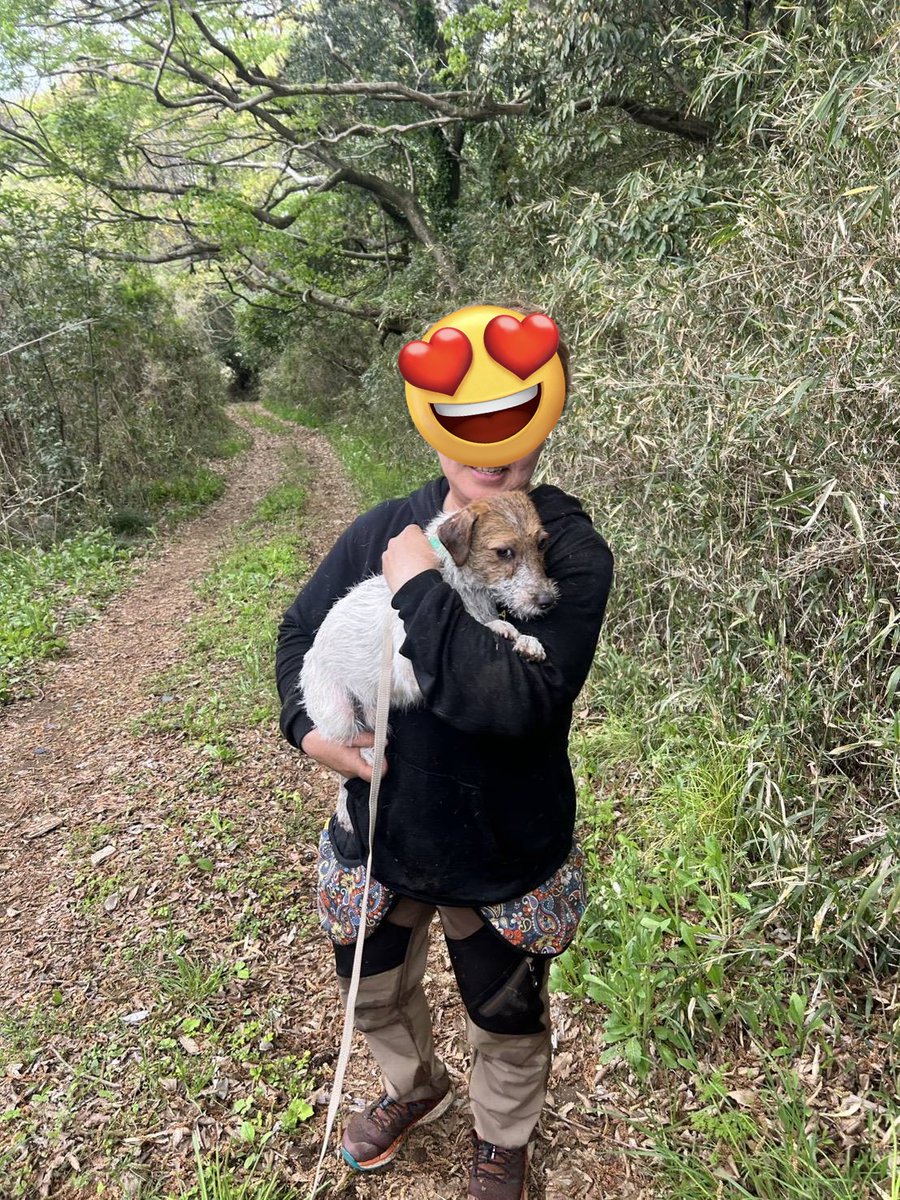 だわさ🌸ハマテンまでまったり🙄 tweet media