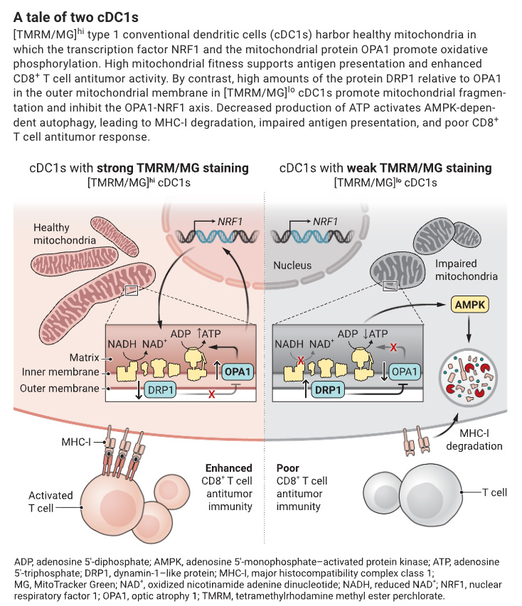 Science Magazine tweet media