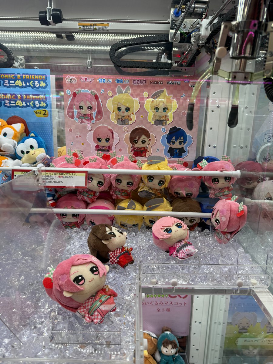 ソユー ウェスタンシティ tweet media