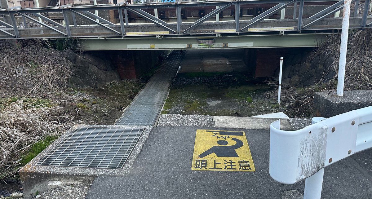 マサキ🍋 tweet media
