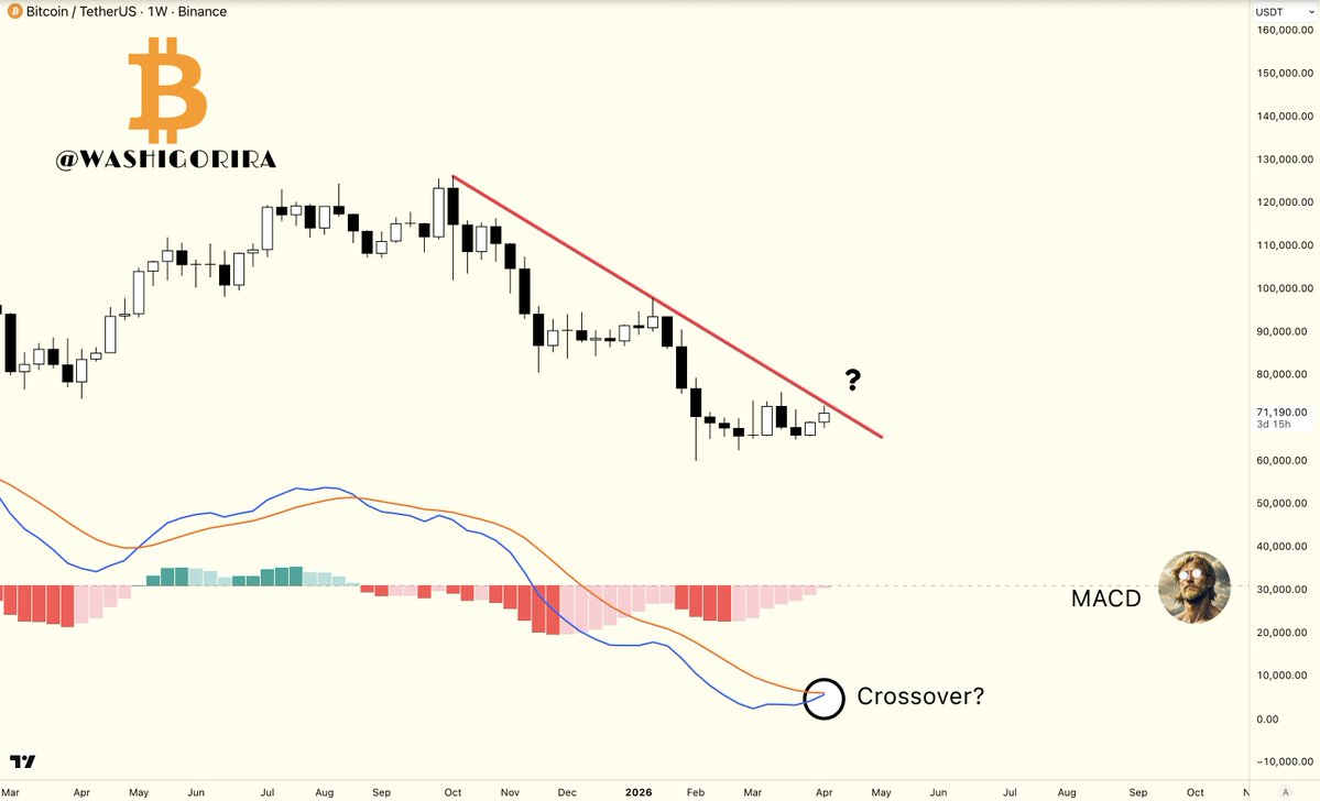 Titan of Crypto tweet media