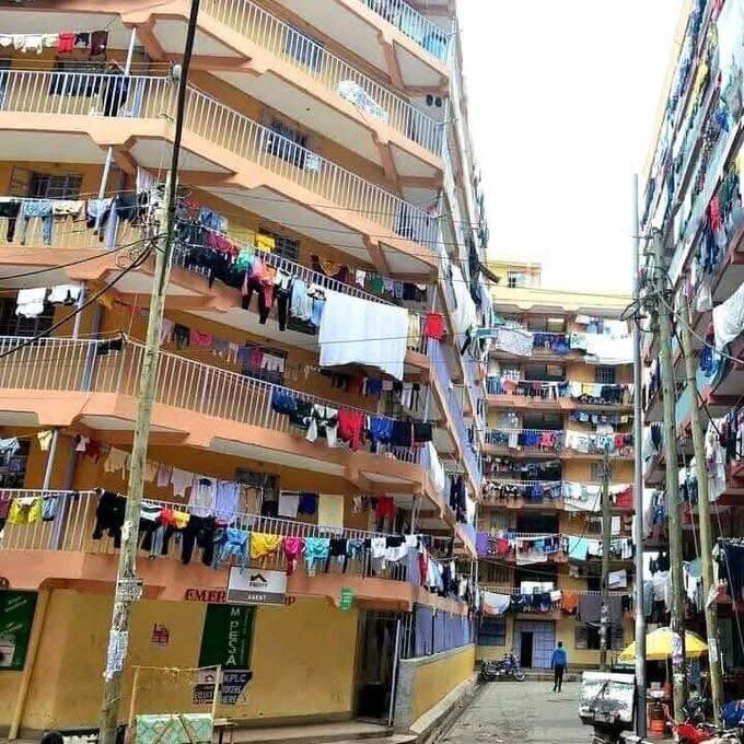 Ivory ✪ tweet media