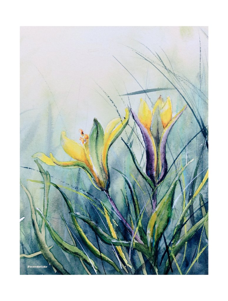 kocsi_erika's tweet image. Flowering in #spring.
My #watercolor work.
The picture is sold in a 23x32 cm frame. #art #flowering #nature #natureartist #mywork #unique