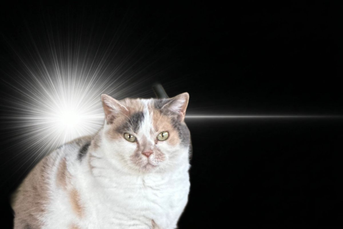 なつめ tweet media