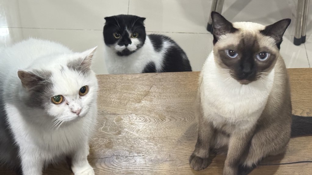 ก่อนกรกฎ tweet media