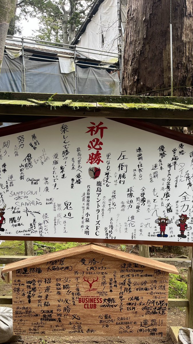 鹿島りたいきゃぽりん tweet media