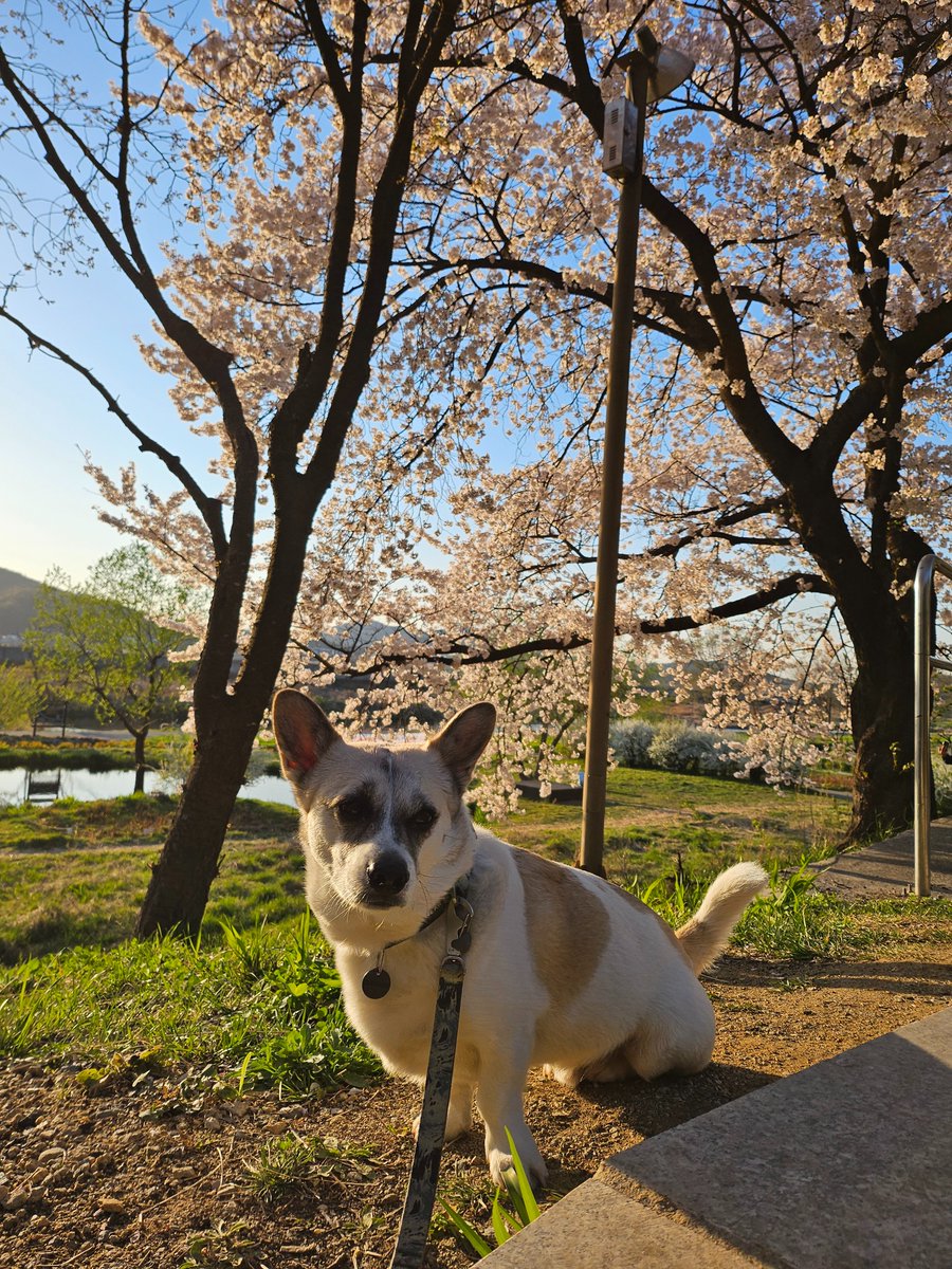 내이름은 권익준 tweet media