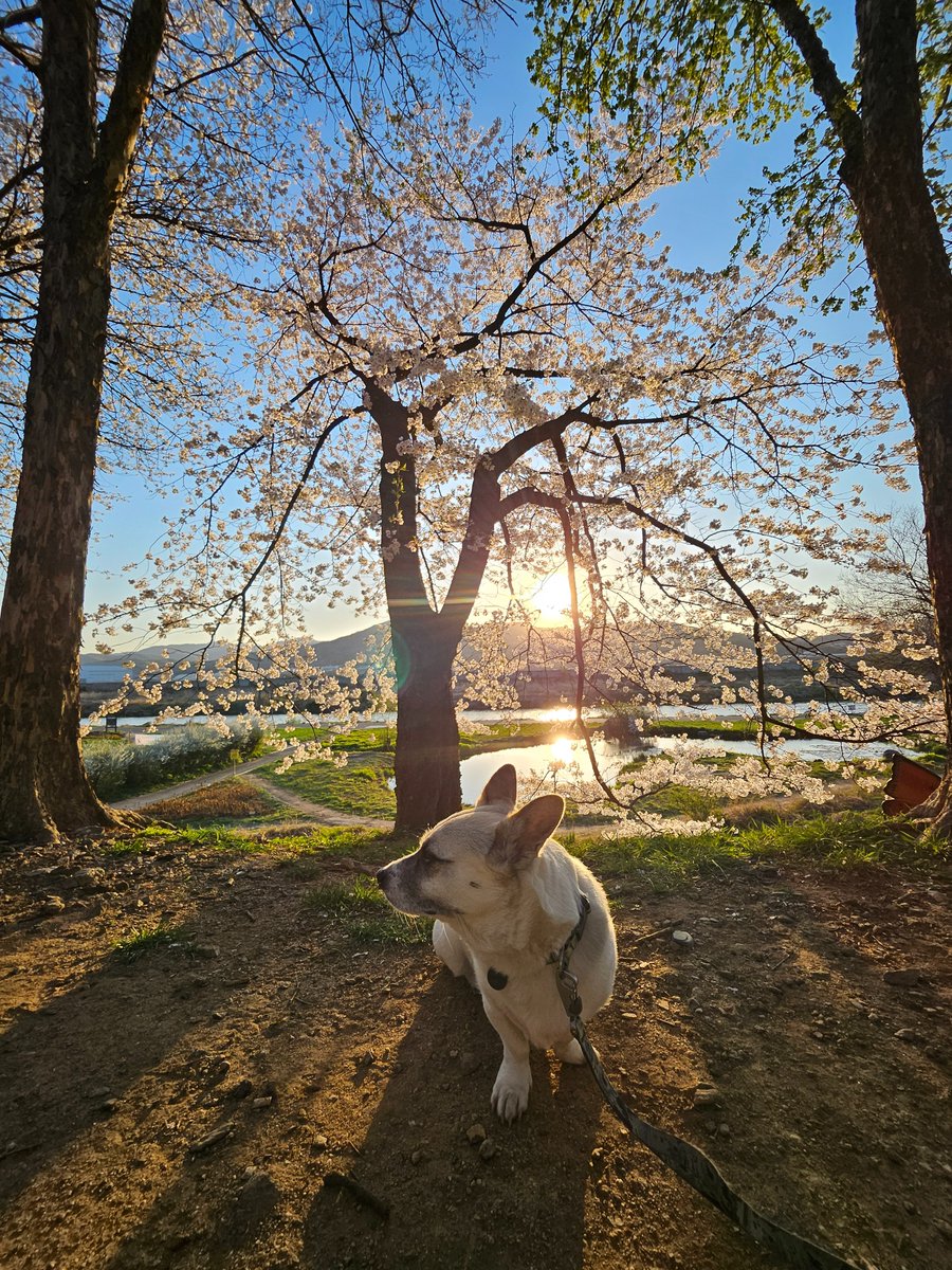 내이름은 권익준 tweet media