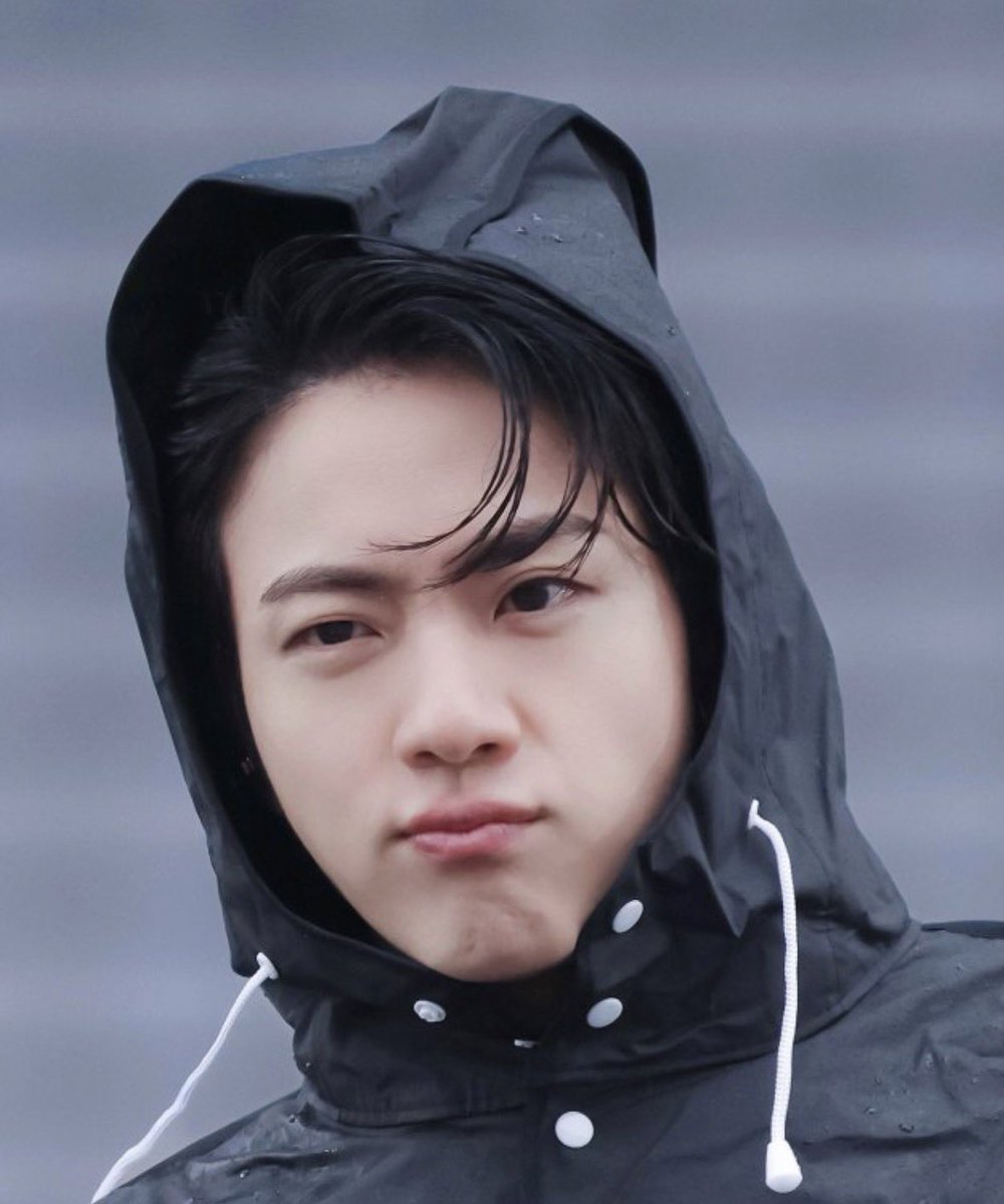 damii | echo | missing jin | rest tweet media