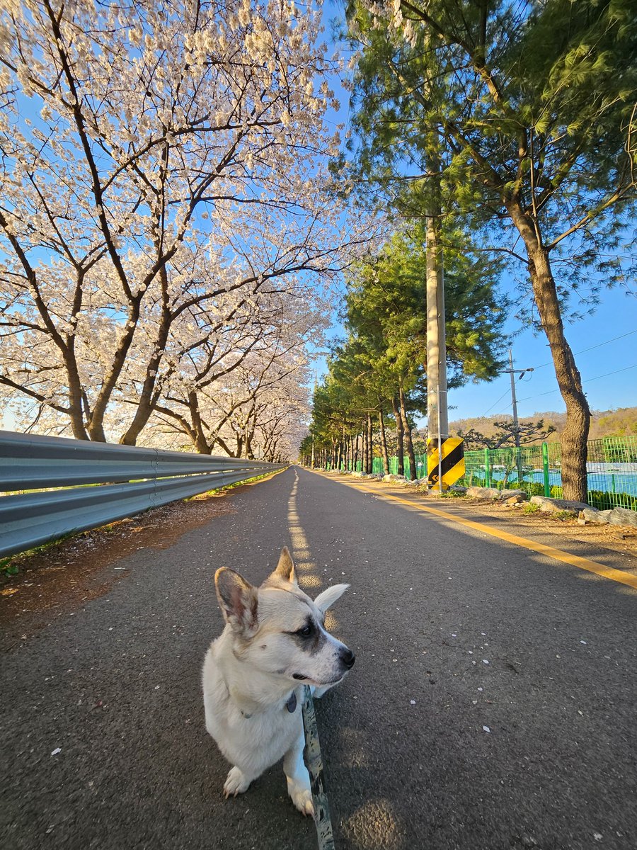 내이름은 권익준 tweet media