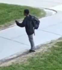 PermanentParanoid tweet media