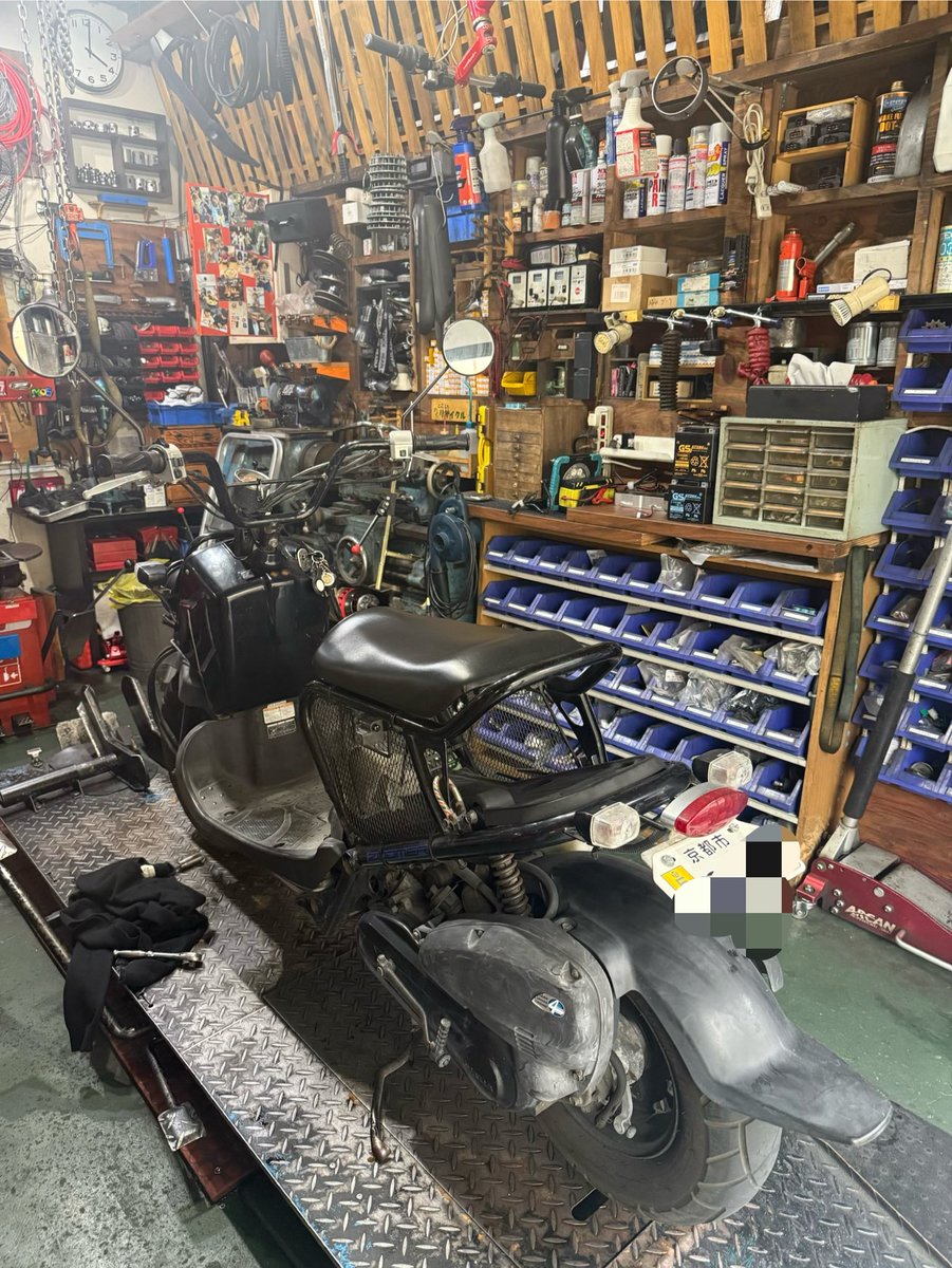 ズーマー、ほんとかわいいよね。

18のとき、一目惚れして親にローン組んでもらって買いました。
1年半乗って、アメリカ留学のため友人に売ったけど、10年前くらいに買い戻してまた乗ってる。