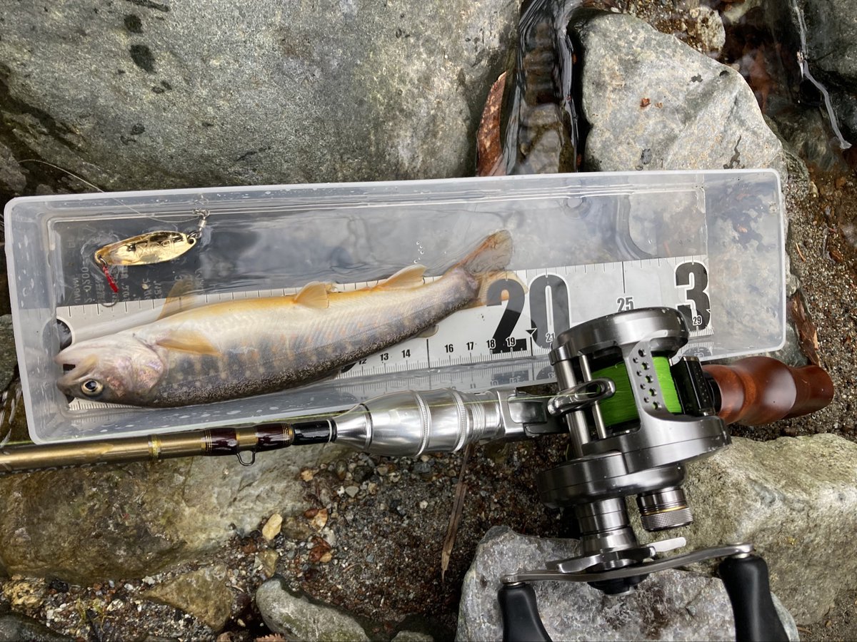 dopeangler's tweet photo. 夕マズメ1本勝負🎣
イワナ2つ。バラし3。buxがかなり反応良かった。buxのフォローでアグリアで釣れたのも嬉しい🐟
#トラウティンスピン39ul
#17カルコンbfs
#bux
#mepps https://t.co/gK7KV3t7UT