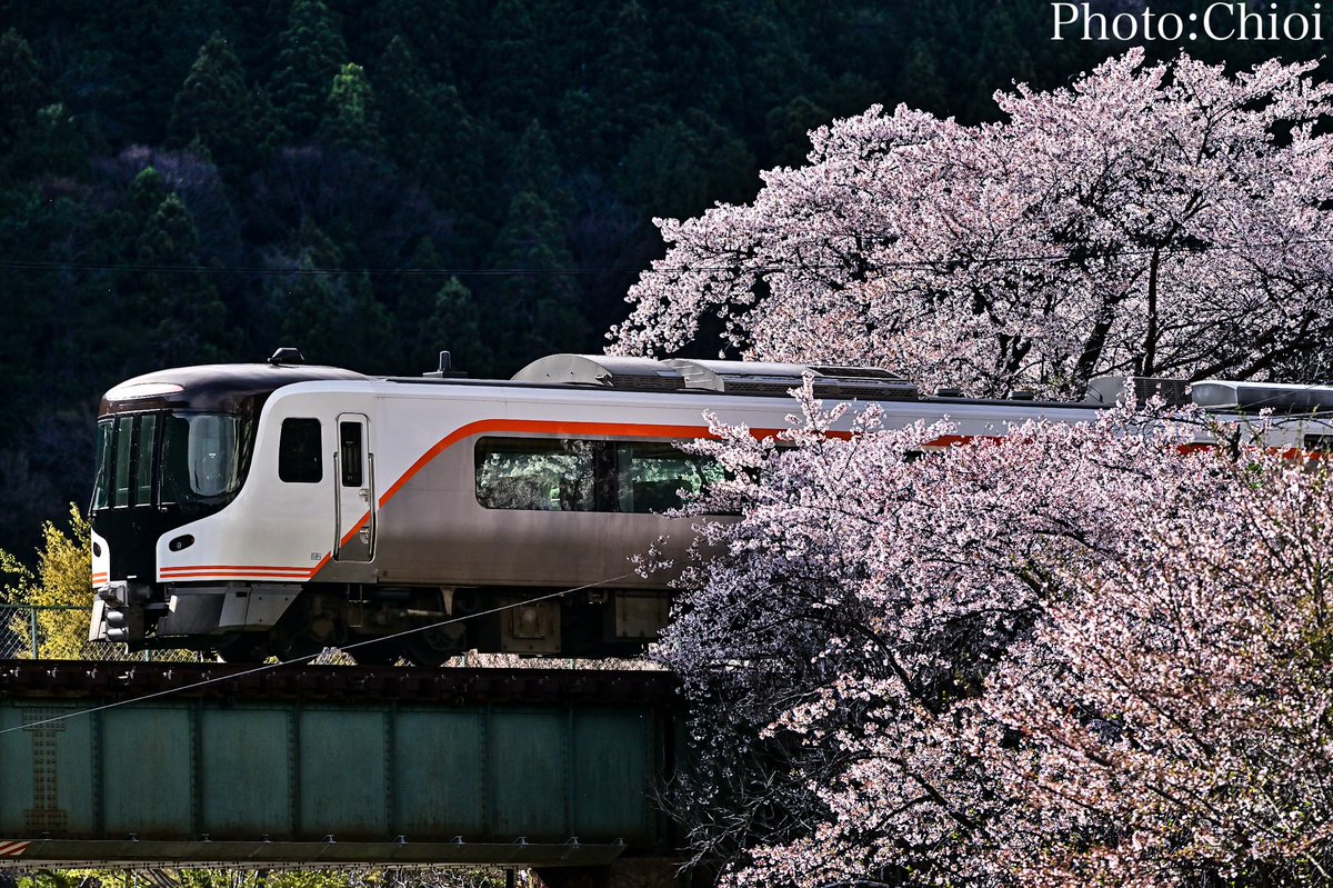 ちおい tweet media