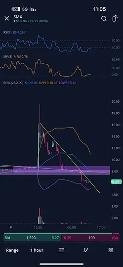 gainzalgo's tweet image. $SMX is set to rebound just as certain as “amen” at the end of every sermon.