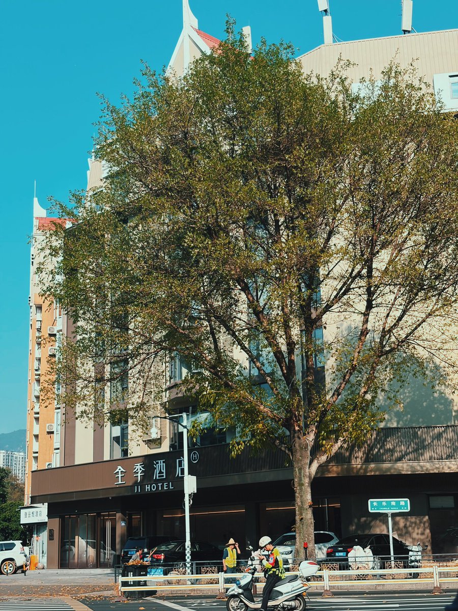 甲安蝶聆 tweet media