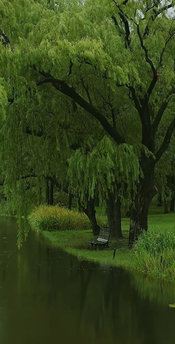 𝑙𝑦𝑟𝑎 tweet media