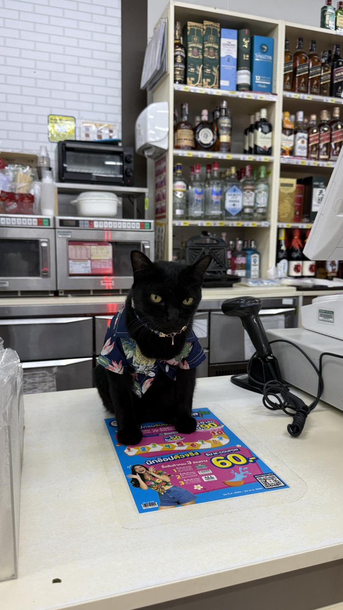 คือผมต้องทราบไหม 🐈‍⬛ tweet media