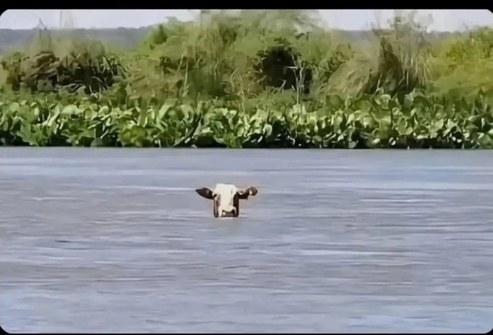 Scenes ukiitisha beef stew pale kibandaski😂