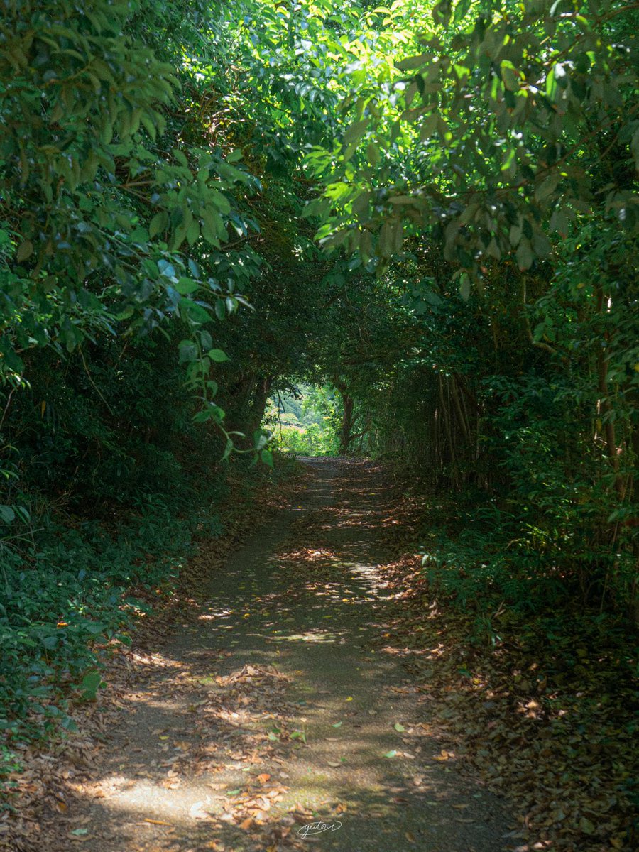 Yuto / バズる！写真編集術の著者 tweet media