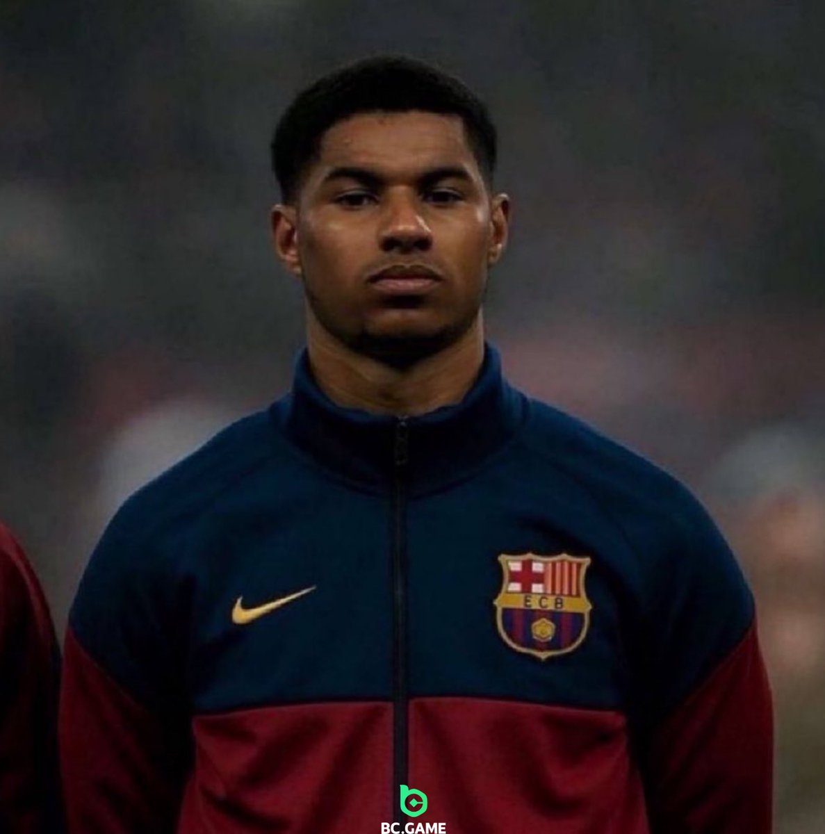 Berneese tweet media