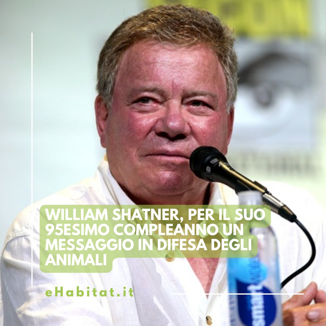 eHabitatit's tweet image. 🖖 @WilliamShatner ha compiuto 95 anni e per il suo compleanno ha regalato a tutti una lezione su quanto sia importante difendere gli animali e l’intero Pianeta. 🌍🐾

🔗 Leggi l’articolo:

ehabitat.it/2026/04/09/wil…
.
.
.
@peta @Alberto_Pinto #WilliamShatner #PETA  #StarTrek #Vegan