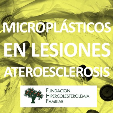 Fundación HF tweet media