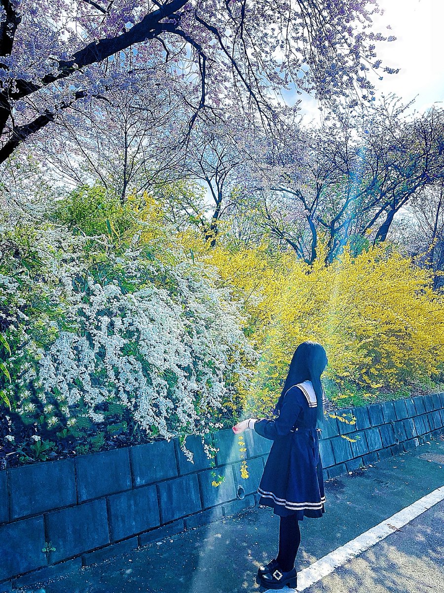 春、だいすき！