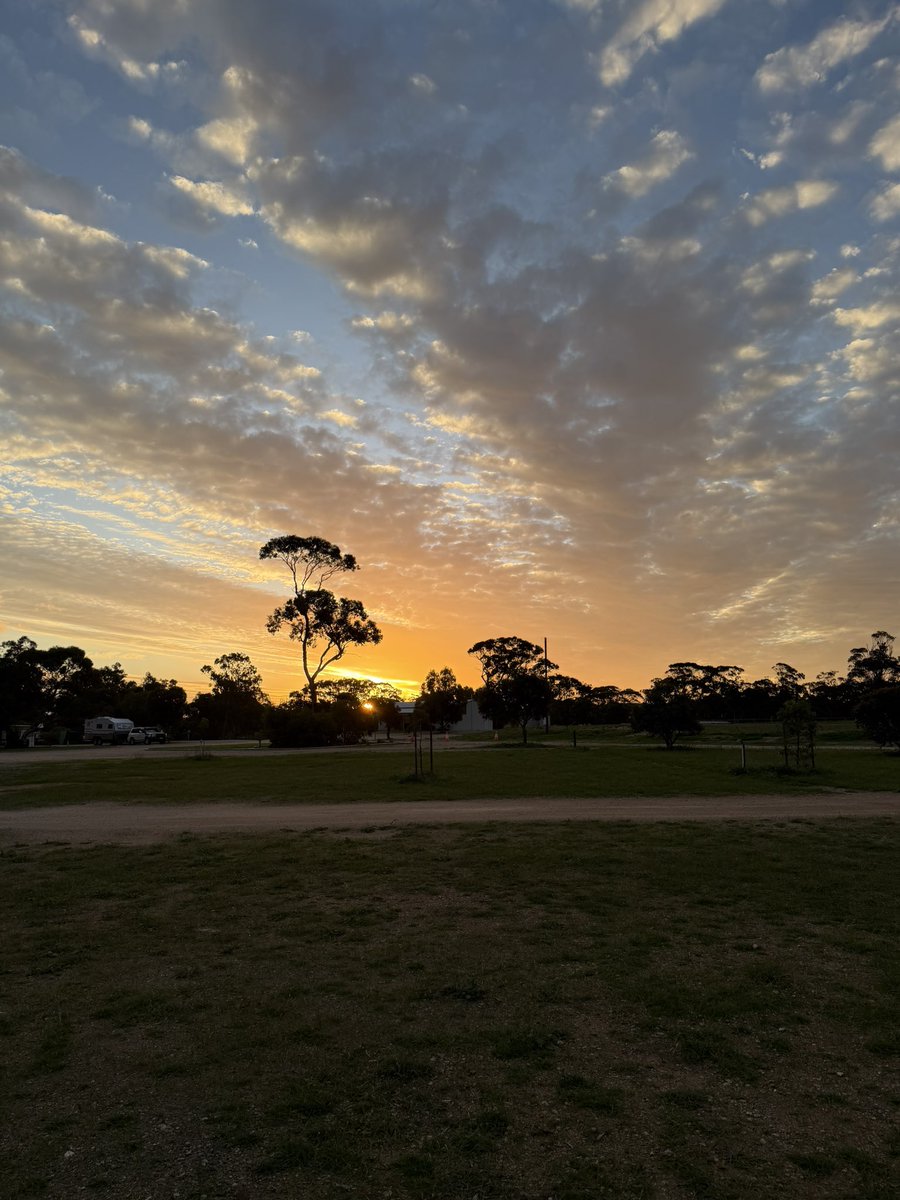 Dan The Man tweet media